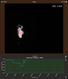 Overview of RedLook retrieving flare efficiency DRE from Agni